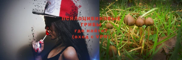 Альфа ПВП Баксан