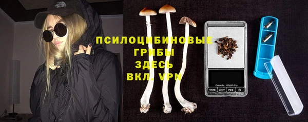 Альфа ПВП Баксан